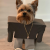 Rob Avatar